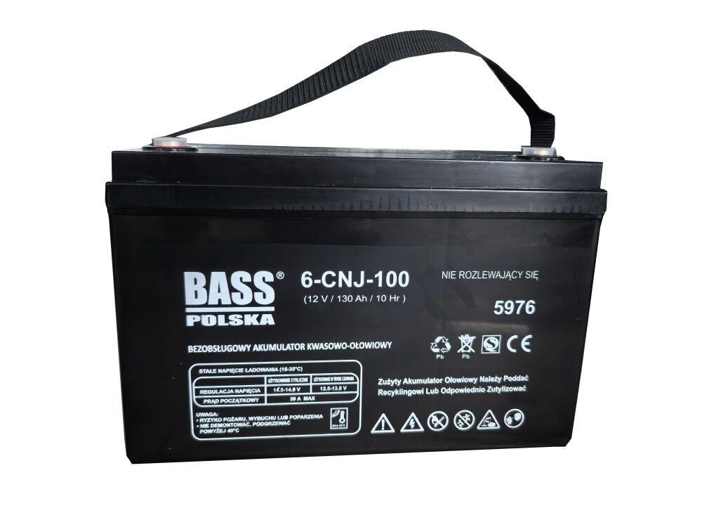 Акумулятор Bass Polska AGM BP-5976, фото 1