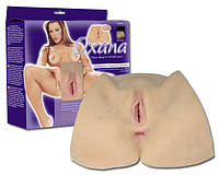 Вагіна та анус ОКСАНА