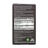 Хлорофіл  Nature's Way Chlorofresh® Mint 40X Liquid - 59 ml (трохи м'ята упаковка), фото 2