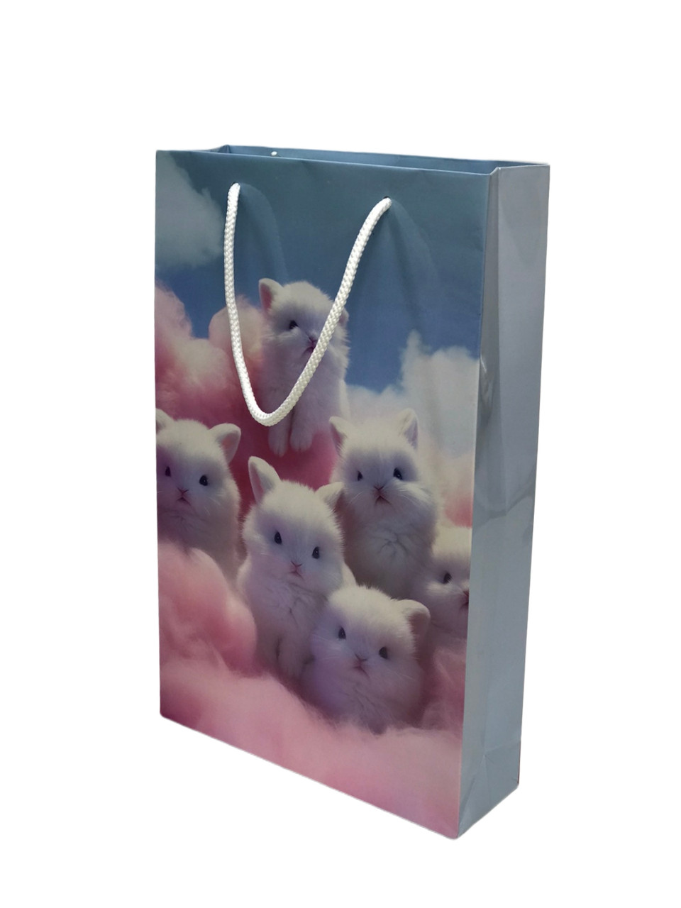 Пакет 13 (18*28*6), фото 1