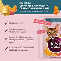 Вологий корм для котів Delickcious Смужки з гарбузом і качкою в крем-супі, 85г, фото 3