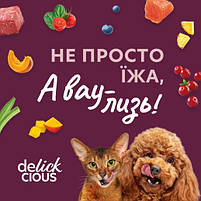 Суп для котів Delickcious сардина з креветками та додаванням гарбуза, 80г, фото 8