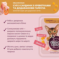 Суп для котів Delickcious сардина з креветками та додаванням гарбуза, 80г, фото 3