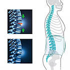 Пояс для спини під час фізичних навантажень на липучках, Waistband, M / Підтримуючий бандаж для попереку, фото 6