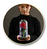 Вічна троянда у скляній колбі з LED підсвічуванням, на батарейках, червона/коричневе дно, фото 3