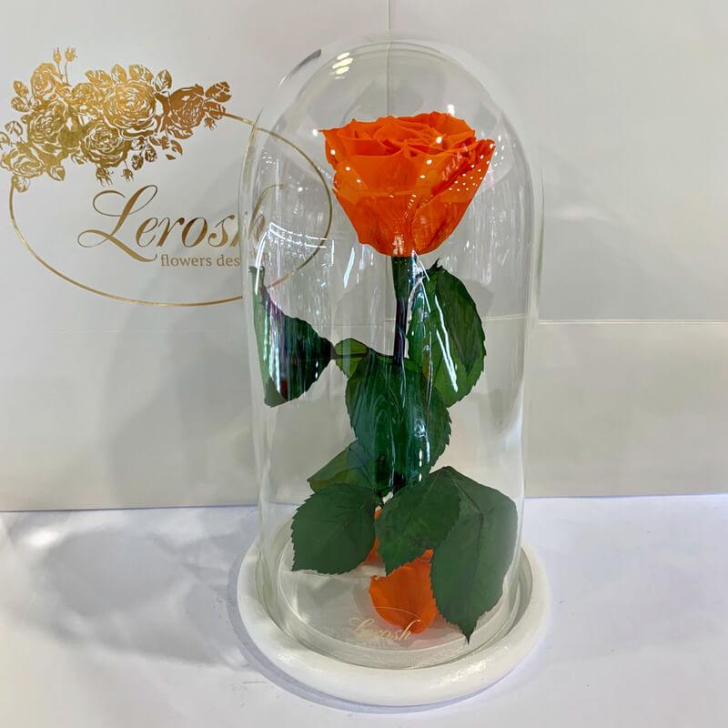 Жовтогаряча троянда в колбі Lerosh — Classic 27 см