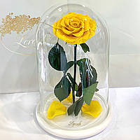 Жовта троянда в колбі Lerosh — Lux 33 см