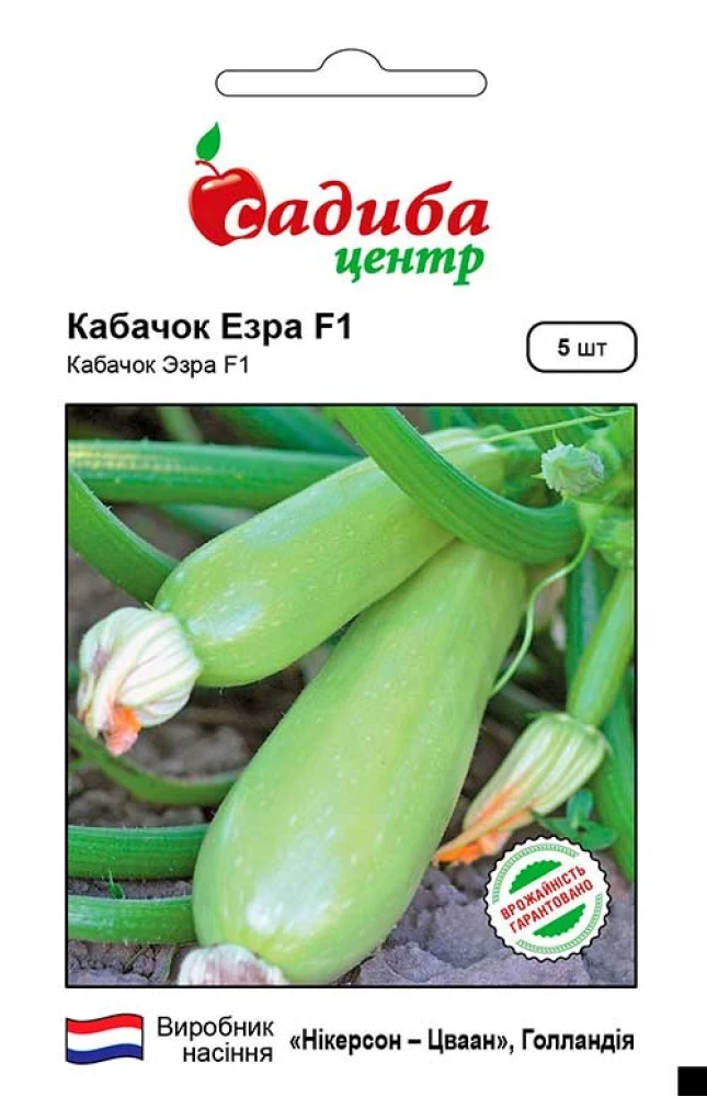 Кабачок Езра F1, 5 шт., СЦ