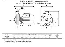 Поверхневий насос CPm146 "rudes" потужність 800 Вт,мах.напір 25 м,об'ємна подача 5 м³/ч, фото 4