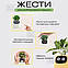 Розумний квітковий горщик для рослин Ivy Smart Planter Tuya горщик із кімнатною рослиною смарт горщик - Зелений, фото 6