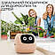 Розумний квітковий горщик для рослин Ivy Smart Planter Tuya горщик із кімнатною рослиною смарт горщик - Рожевий, фото 3