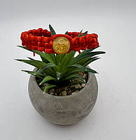 Браслет шамбалу з бурштину з червоною ниткою, браслет шамбалу з бурштину