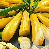 Кабачок Золотинка, 1 г, Традиція, фото 2