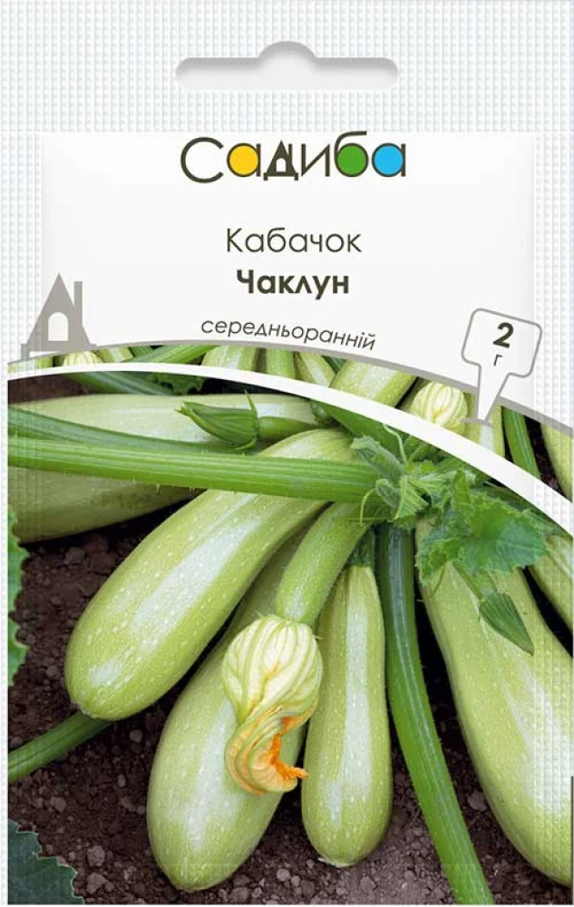 Кабачок Чаклун, 2 г, Садиба