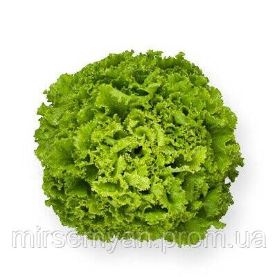 Салат Драгон 1000 драже. Hazera, фото 1