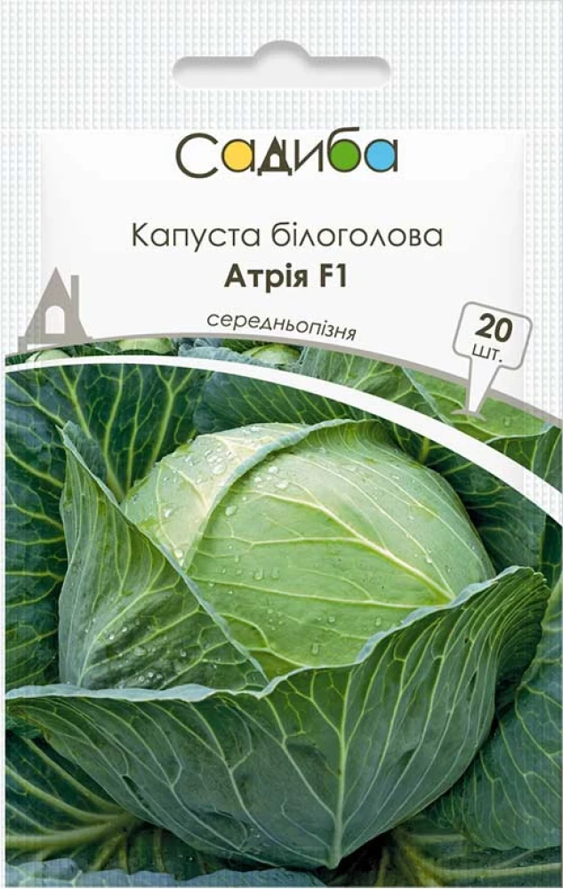 Капуста білоголова Атрія F1, 20 шт., Садиба