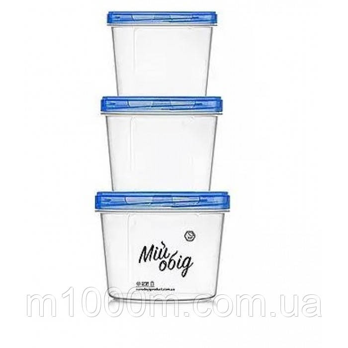 Набір контейнерів для харчових продуктів 3в1 Мій Обід 0,3+0,5+0,7л НП