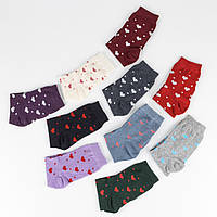 Шкарпетки жіночі