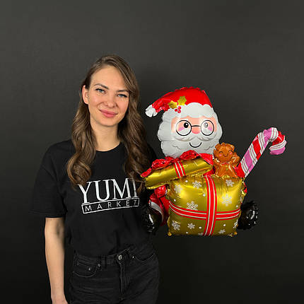 НР202 Стояча фігура КИТАЙ-КТ Санта сидячій з подарунком (УП), фото 2