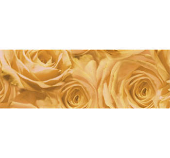 Калька URSUS А4 115г/м РОЗЫ Шампанское UR-50614601R