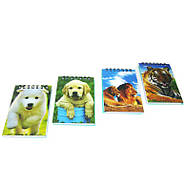 Блокнот спіраль 10,5*7см 100арк. Sultani Голограмма, Мікс ST-3606, фото 3