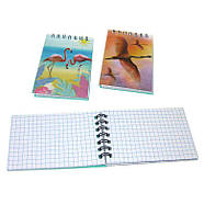 Блокнот спіраль 10,5*7см 100арк. Sultani Голограмма, Мікс ST-3606, фото 4