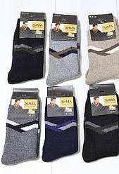 Шкарпетки чоловічі зимові теплі, високі, шерсть,махра, 41-47, Корона (розмір 41-47)