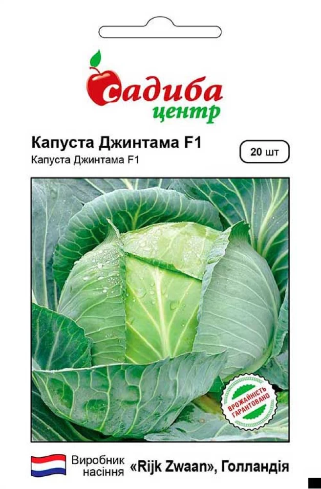 Капуста білоголова Джинтама F1, 20 шт., СЦ