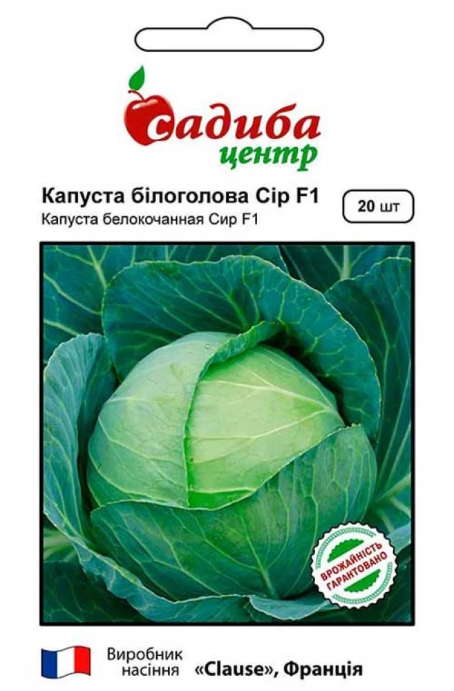 Капуста білоголова Сір F1, 20 шт., СЦ