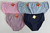 Труси жіночі в кольорах з дрібним квітковим принтом 52-54 р (10 шт), фото 2