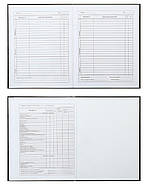 Шкільний щоденник ZiBi А5+ (16,9*23,4 см) Great ZB.13900, фото 4