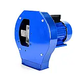 Подрібнювач зерна Husqvarna EFS 4300 електричний Високоякісний кормоподрібнювач 4.3 кВт 320 кг/год, фото 7