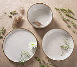 Тарілка обідня Ipec Nordic Sand, фото 3