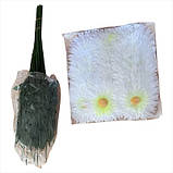 Штучна квіті букет ромашки білі ворсиста тичинка, 46 см, фото 3