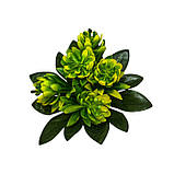 Штучна квіті букет бордюрна пластикова півонія-шишка, 18 см, фото 2