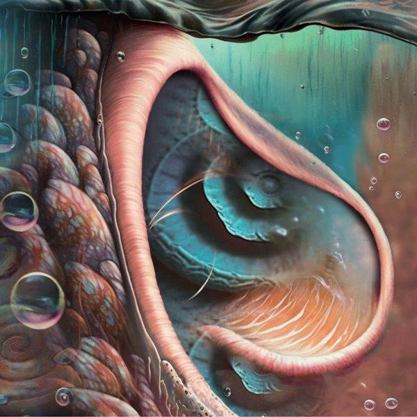 Various Artists – Meddle Reimagined: A Tribute To Pink Floyd (2023) (Audio CD)