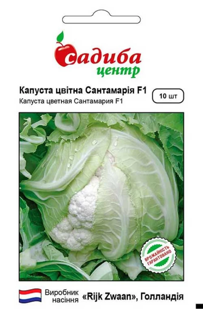 Капуста цвітна Санта Марія F1, 10 шт., СЦ
