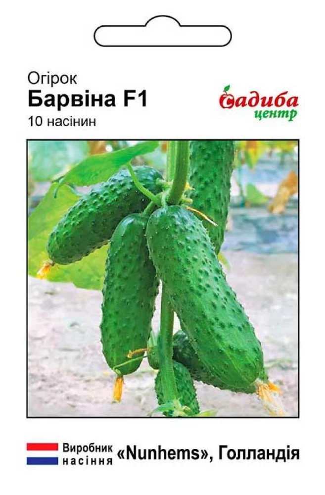 Огірок Барвіна F1, 10 шт., СЦ
