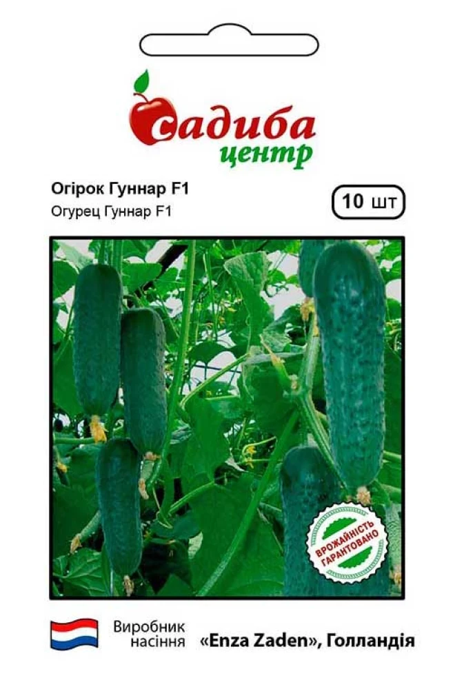 Огірок Гуннар F1, 10 шт., СЦ