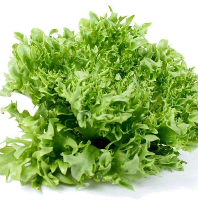 Насіння салату (батавія) Фінстар Nunhems 5000 драже