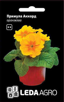 Насіння Примула Акорд F1 помаранчева 10шт ТМ LEDAAGRO, фото 1