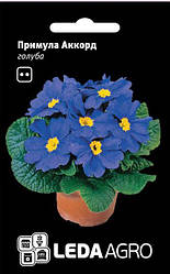 Насіння Примула Акорд F1 блакитна 10шт ТМ LEDAAGRO