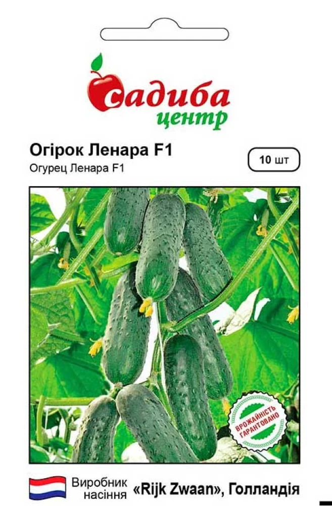 Огірок Ленара F1, 10 шт., СЦ