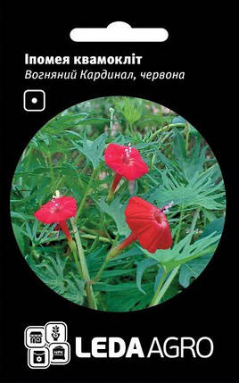 Насіння іпомеї квамокліт Вогняний кардинал 0,5г LEDAAGRO, фото 1
