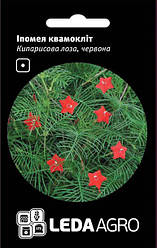 Насіння іпомеї квамокліт Кипарисова лоза 0,2г LEDAAGRO
