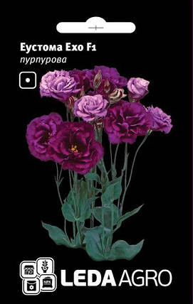 Насіння Еустома Ехо F1 пурпурова 5шт ТМ LEDAAGRO, фото 1