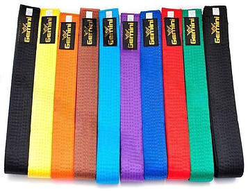 Пояс для єдинаборств Gemini кольору в асортимент