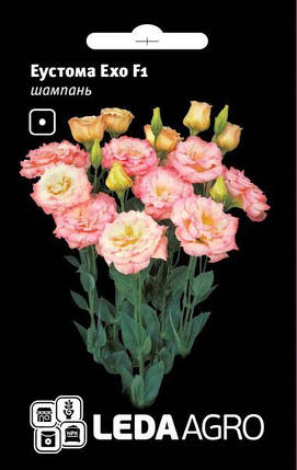 Насіння Еустома Ехо F1 шампань 5шт ТМ LEDAAGRO, фото 1