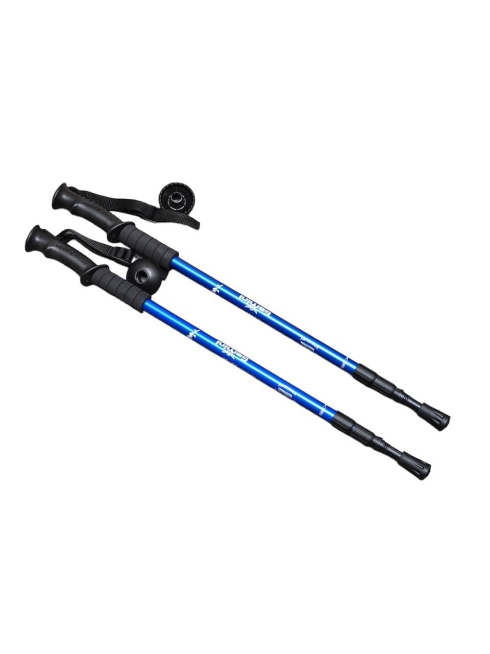 Трекінгові палиці з прямою ручкою Gemini Sport TG2019-2BL синій, фото 1
