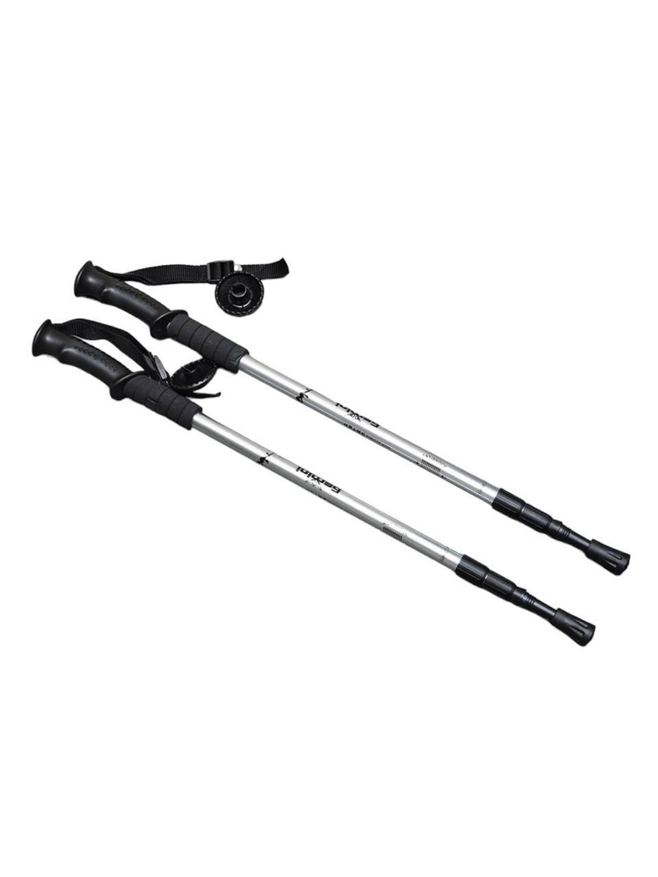 Трекінгові палиці з прямою ручкою Gemini Sport TG2019-2GRAY сірий, фото 1